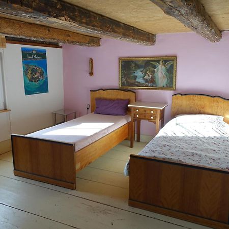 Ferienwohnung Fink Tengen Ngoại thất bức ảnh